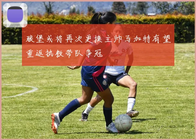 狼堡或将再次更换主帅马加特有望重返执教带队争冠