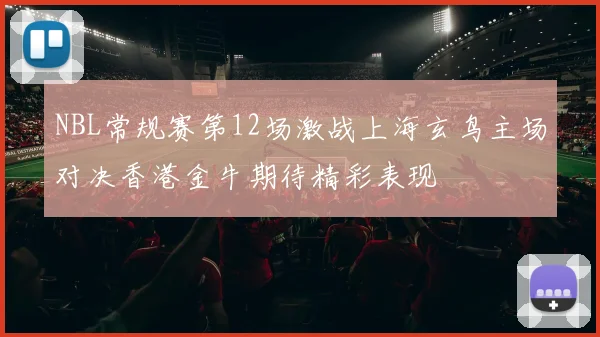 NBL常规赛第12场激战上海玄鸟主场对决香港金牛期待精彩表现
