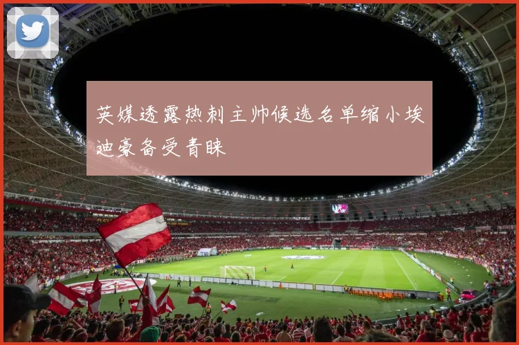 英媒透露热刺主帅候选名单缩小埃迪豪备受青睐
