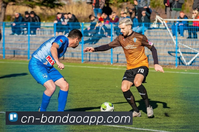 半岛体育服务体系